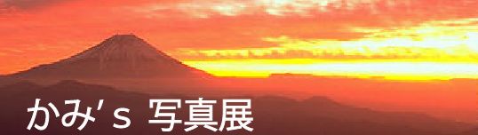 かみｓ写真展ロゴ