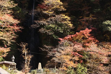 秋景写真