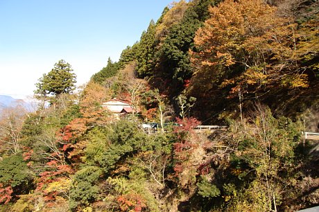 秋景写真